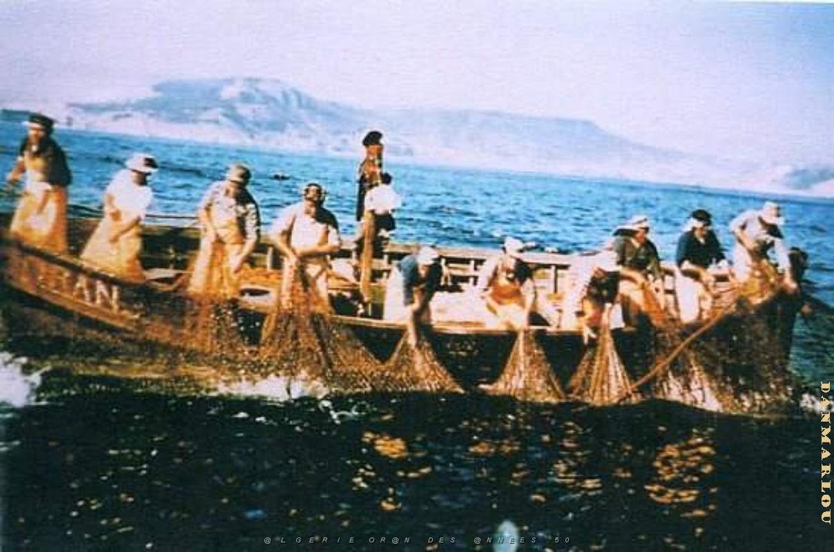 PO e- 472.JPG